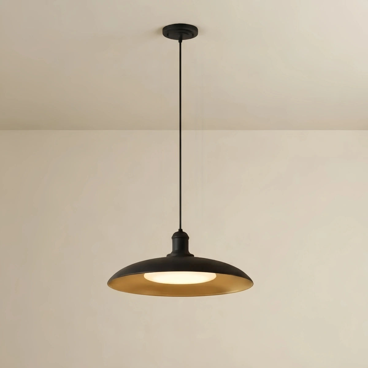 Irondale Industrial Waterproof Pendant Light -- Black/Brass Iron for Outdoor Wall