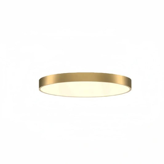 Excelis Solid Brass Ceiling Light