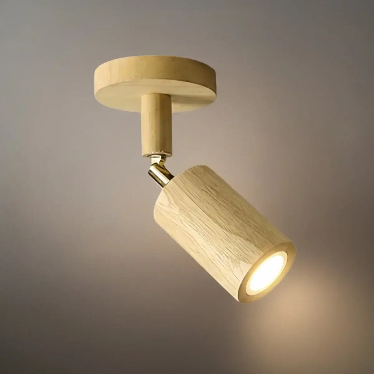 Modern Track Light