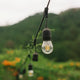 durable outdoor LED lighting hanging in a garden setting with greenery and flowers in the background