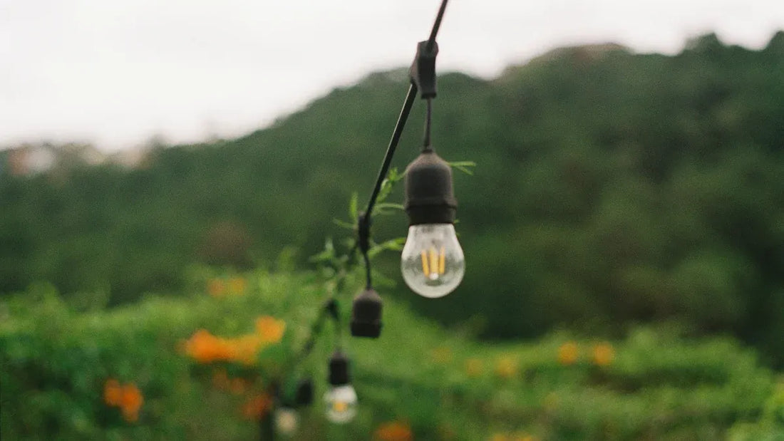 durable outdoor LED lighting hanging in a garden setting with greenery and flowers in the background