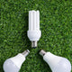 Which Is Better LED or Incandescent Bulbs for Your Home