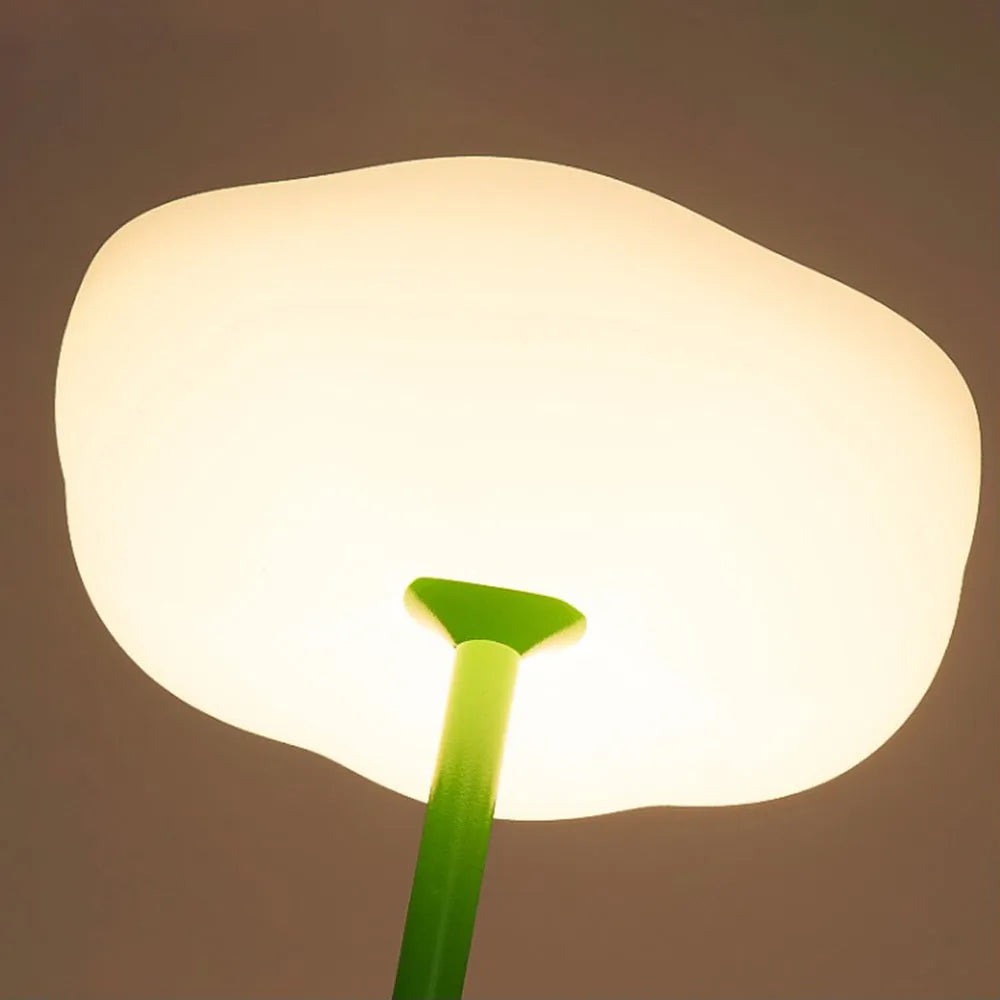 Modern Outdoor Floor Lamp - Black Metal & Acrylic Bowled
