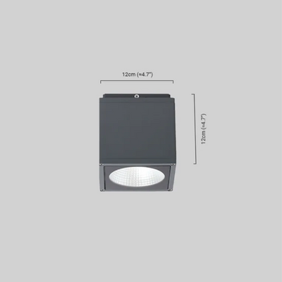 Outdoor Ceiling Light Black