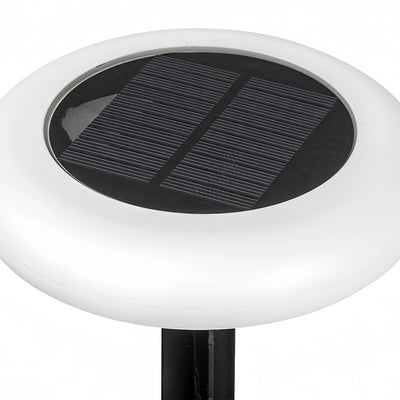 Modern_Rock-Shaped_Pathway_Light_Solar