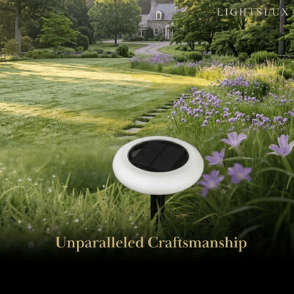 Modern_Rock-Shaped_Pathway_Light_Solar