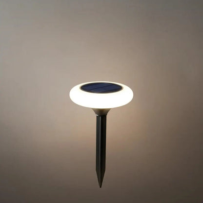 Modern_Rock-Shaped_Pathway_Light_Solar