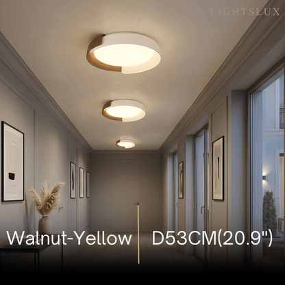 Modern_Round_Flush_Mount_Ceiling_Light
