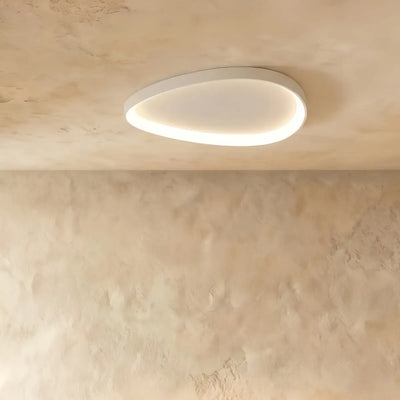 Minimalist Ceiling Light -- Metal Integrated LED White/Black for Living Room