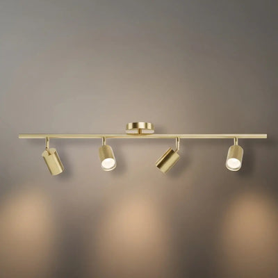 Minimalist Linear Track Light