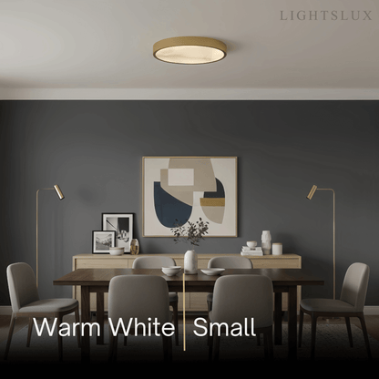 Excelis_Modern_Alabaster_Disc_Ceiling_Light