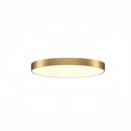 Excelis Solid Brass Ceiling Light