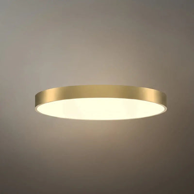 Excelis Solid Brass Ceiling Light