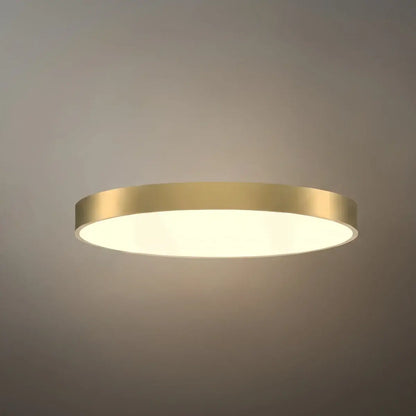 Excelis Solid Brass Ceiling Light