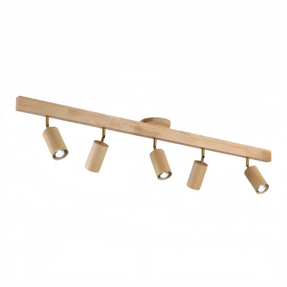 Modern Track Light