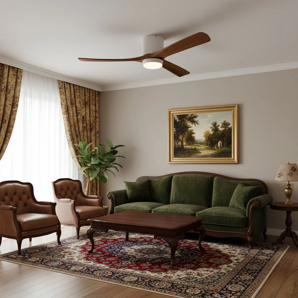 Fan ceiling Light