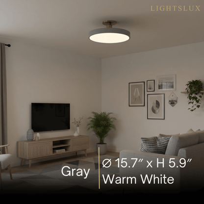 Modern Flush Mount Ceiling Light