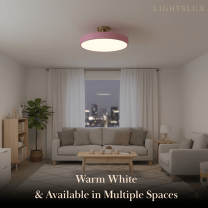 Modern Flush Mount Ceiling Light