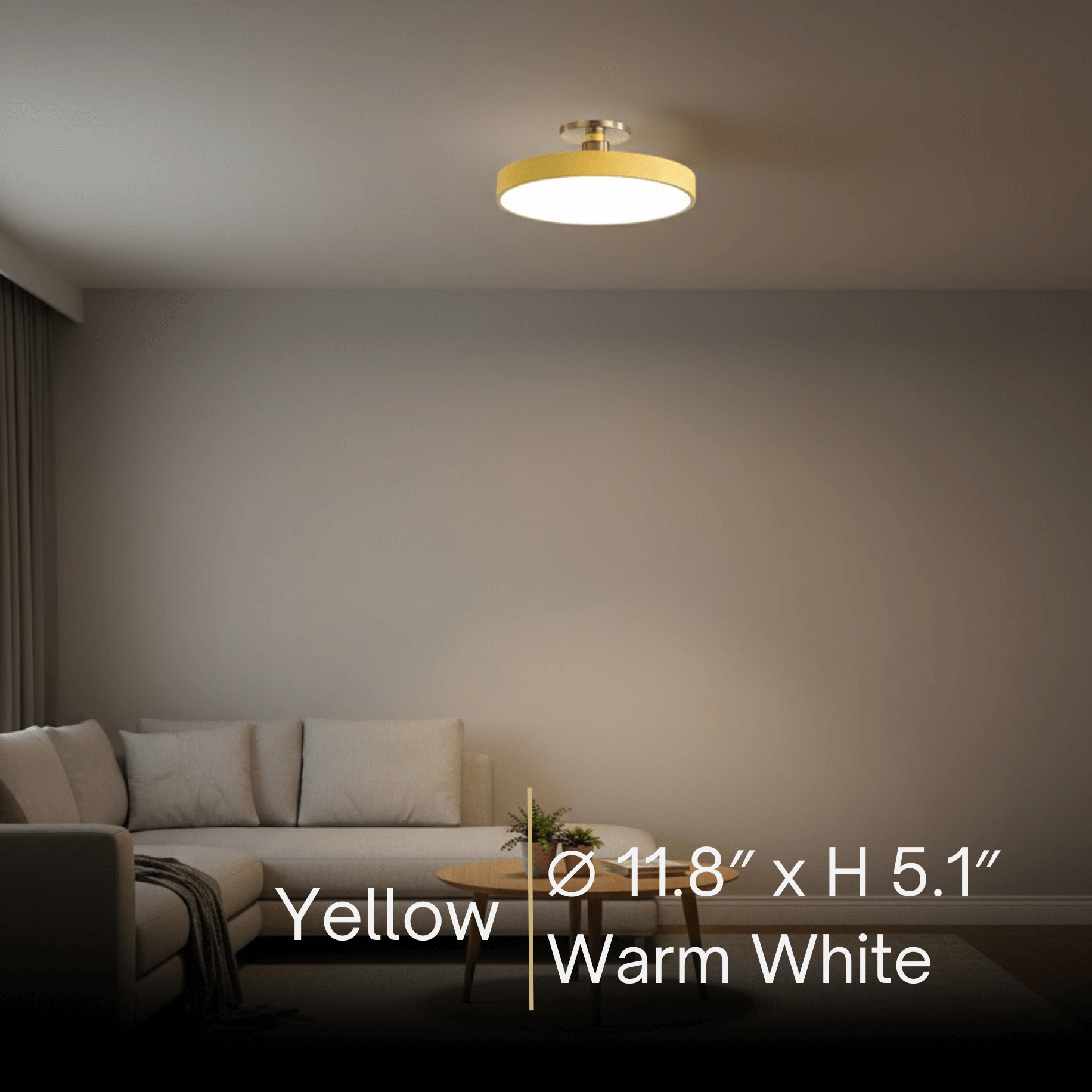 Modern Flush Mount Ceiling Light