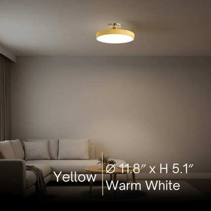 Modern Flush Mount Ceiling Light