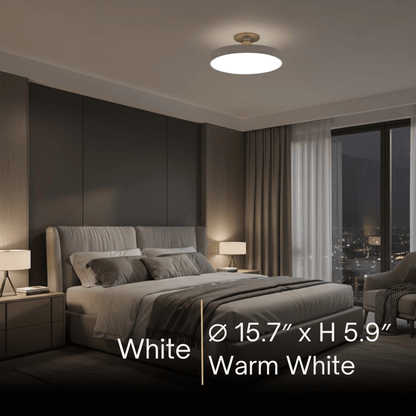 Modern Flush Mount Ceiling Light