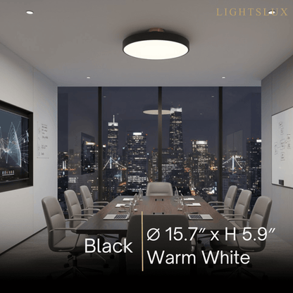 Modern Flush Mount Ceiling Light