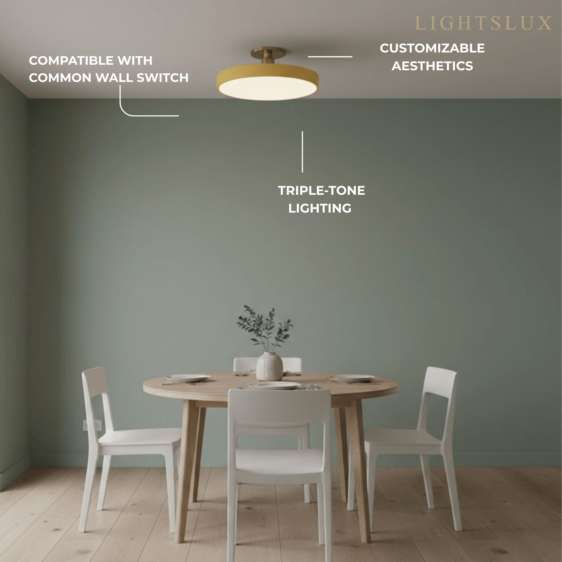 Modern Flush Mount Ceiling Light
