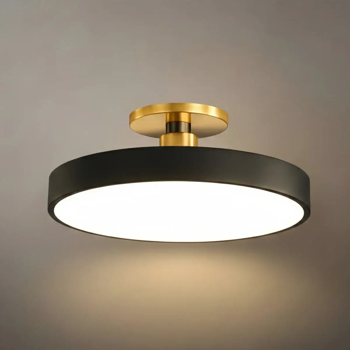 Modern Flush Mount Ceiling Light
