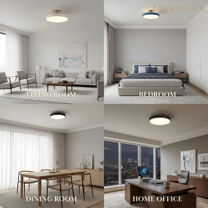 Modern Flush Mount Ceiling Light