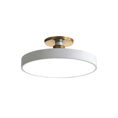 Modern Flush Mount Ceiling Light