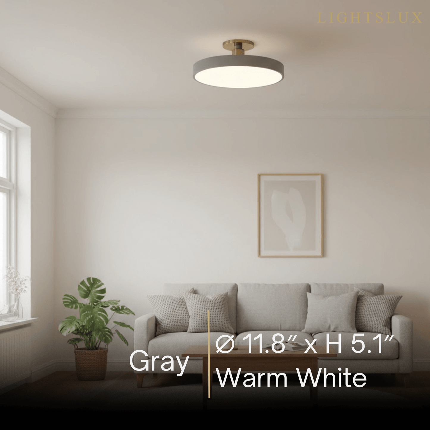 Modern Flush Mount Ceiling Light