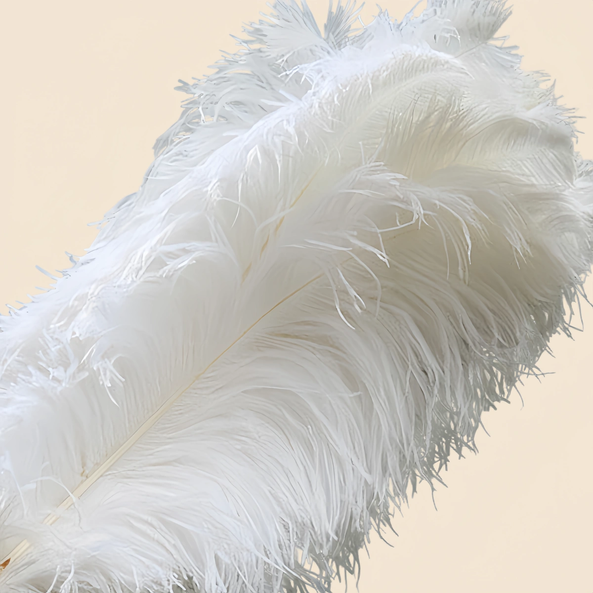 Lunara Nordic Feather Floor & Table Lamp