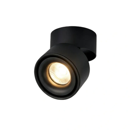 Arcato Modern Cylindrical Ceiling Light