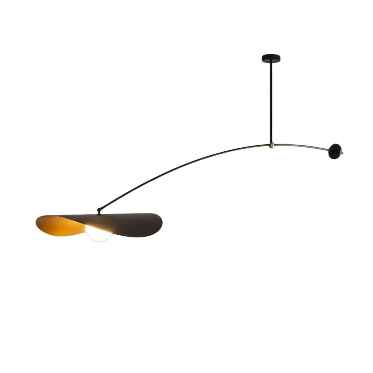 Irondale Modern Pendant Light - Black