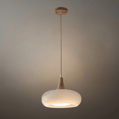 Modern Glass Pendant Light 