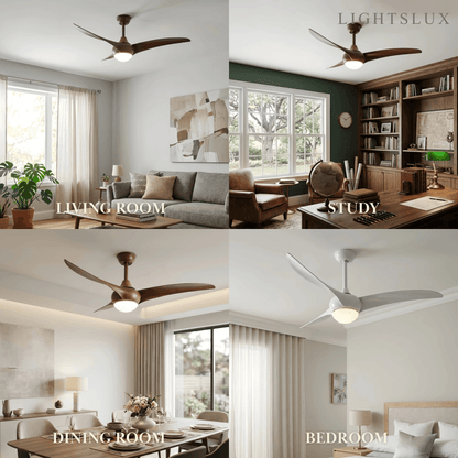Zenno Modern Ceiling Fan Light 