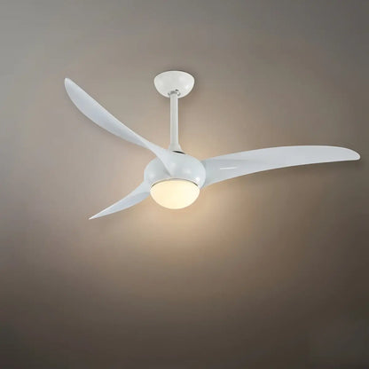 Zenno Modern Ceiling Fan Light 