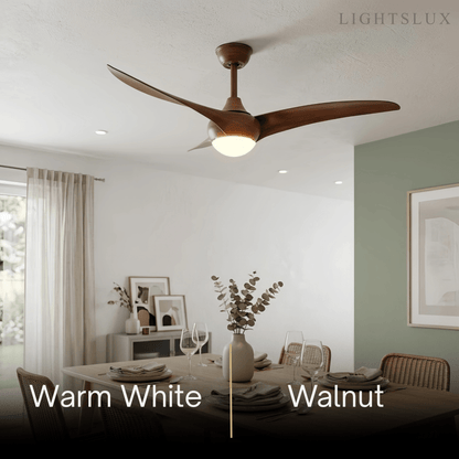 Zenno Modern Ceiling Fan Light 