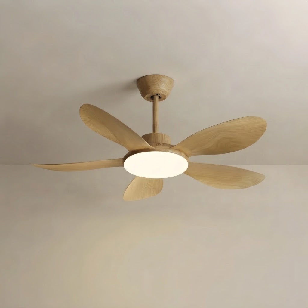 Zenno_Modern_Light_Integrated_LED_for_Living_Room_Bedroom_Kitchen