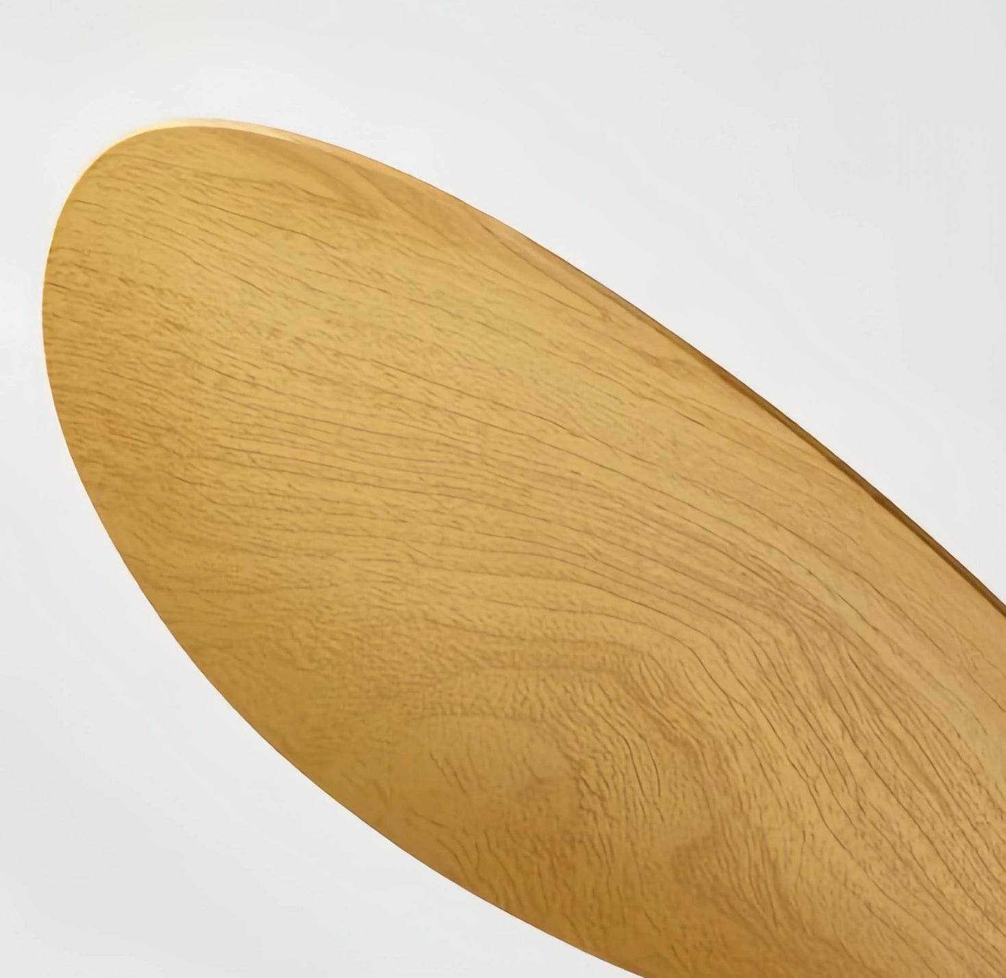 Zenno Modern Ceiling Fan Light