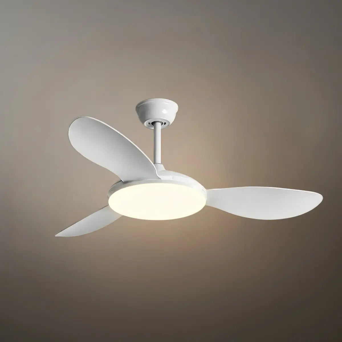 Zenno Modern Ceiling Fan Light 