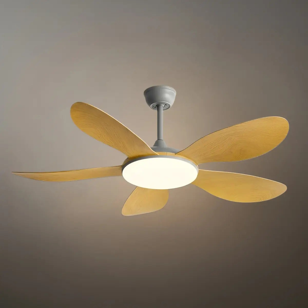 Zenno Modern Ceiling Fan Light 