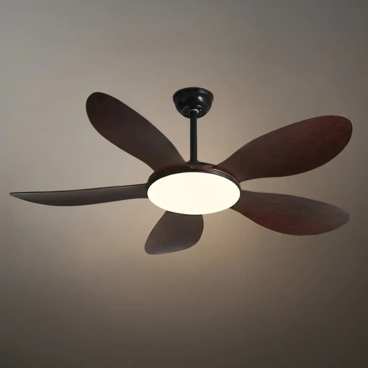 Zenno Modern Ceiling Fan Light 