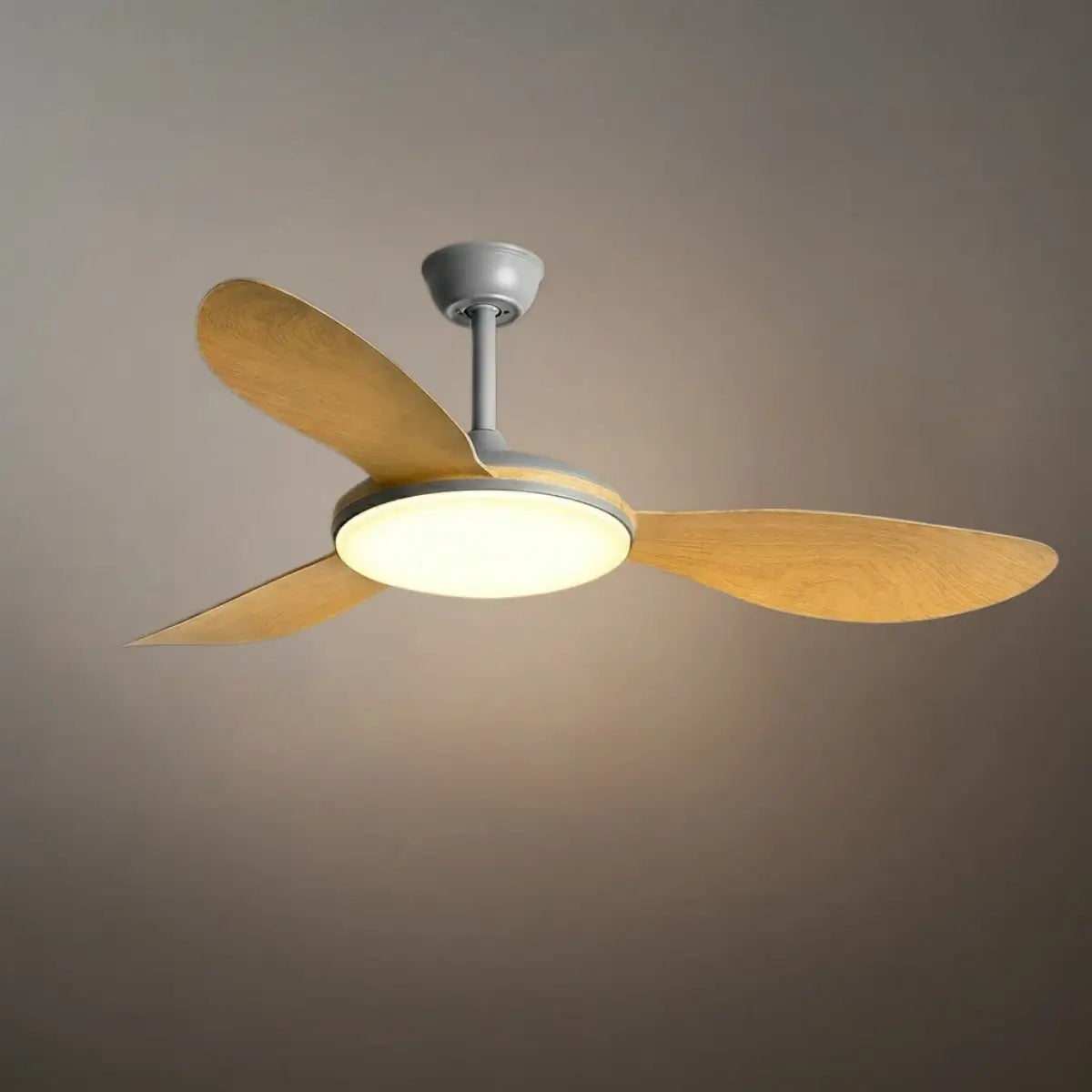 Zenno Modern Ceiling Fan Light 