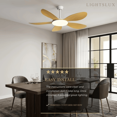 Zenno Modern Ceiling Fan Light 