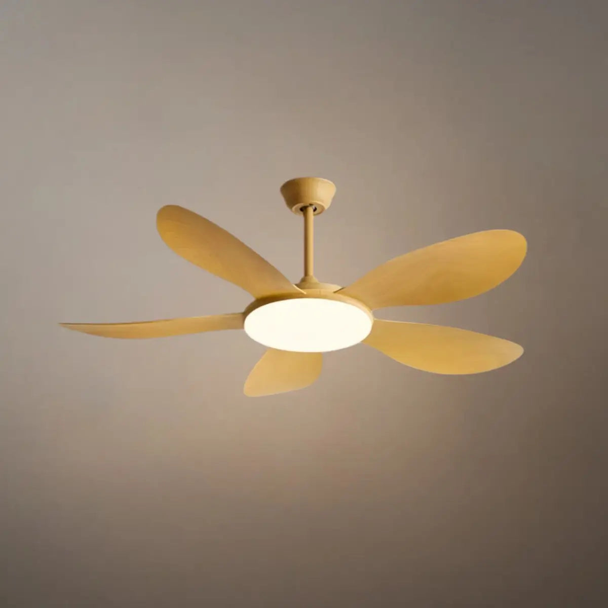 Zenno Modern Ceiling Fan Light 
