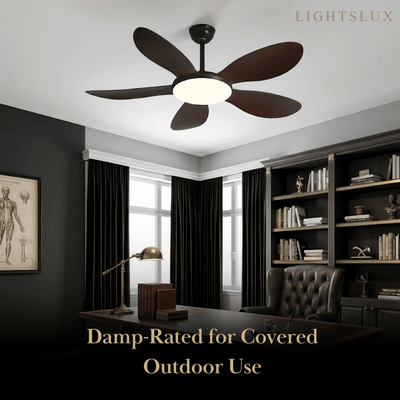 Zenno Modern Ceiling Fan Light 