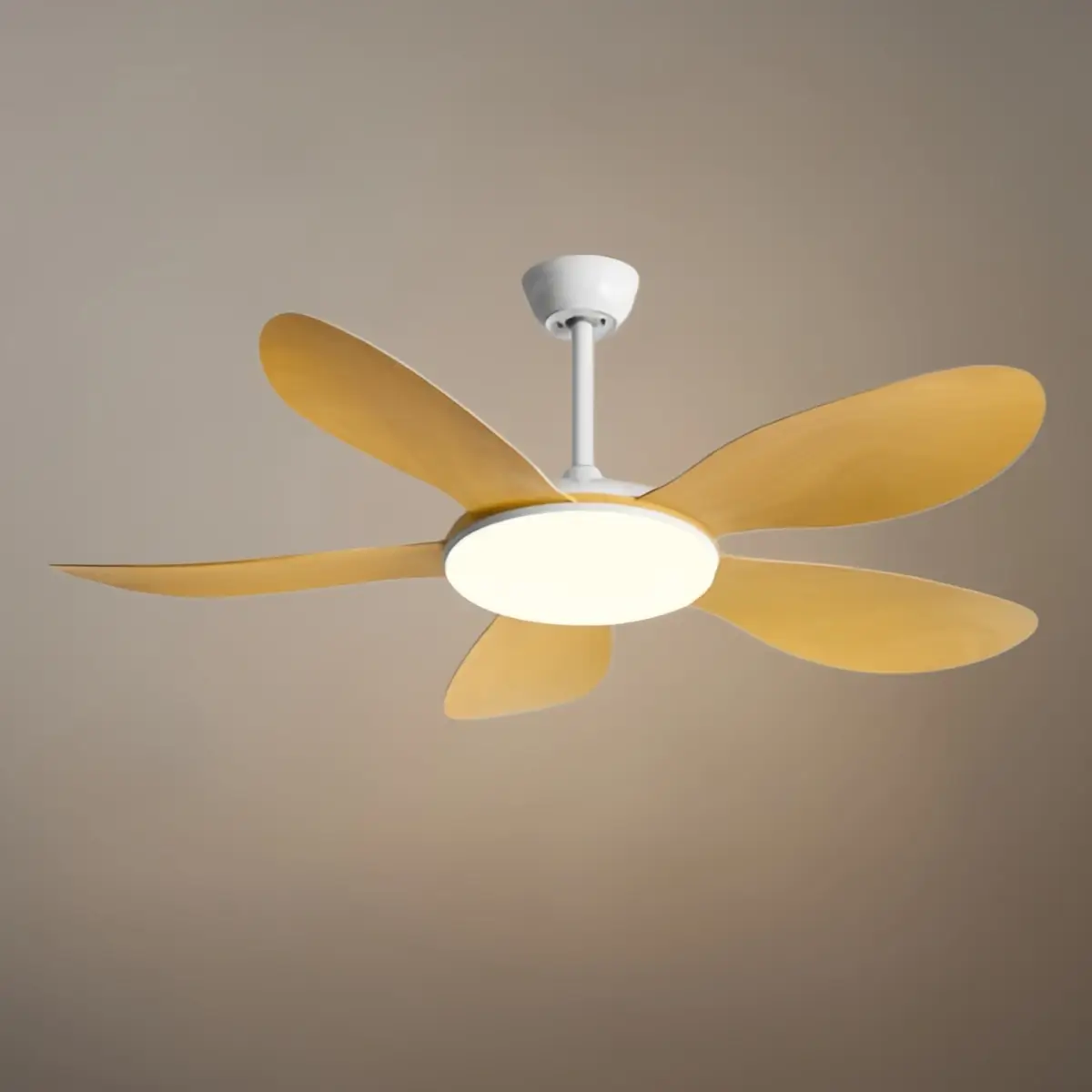 Zenno Modern Ceiling Fan Light 