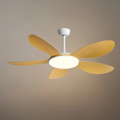 Zenno Modern Ceiling Fan Light 