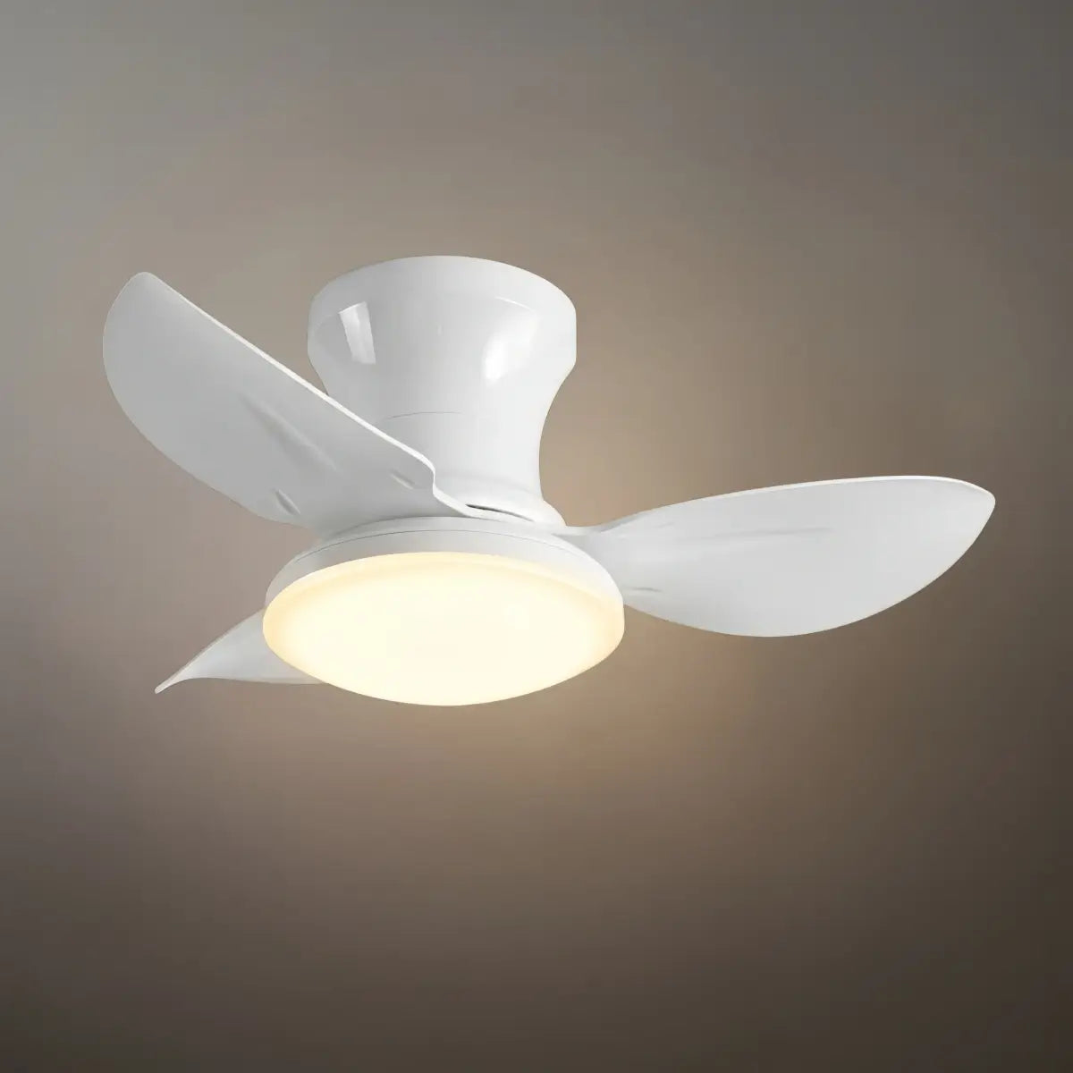 Vivara Modern Ceiling Fan Light 
